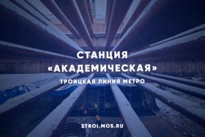 Какой будет станция метро «Академическая»
